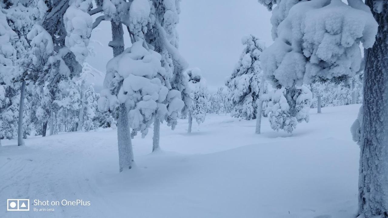 Apt 37 Rovaniemi Zewnętrze zdjęcie